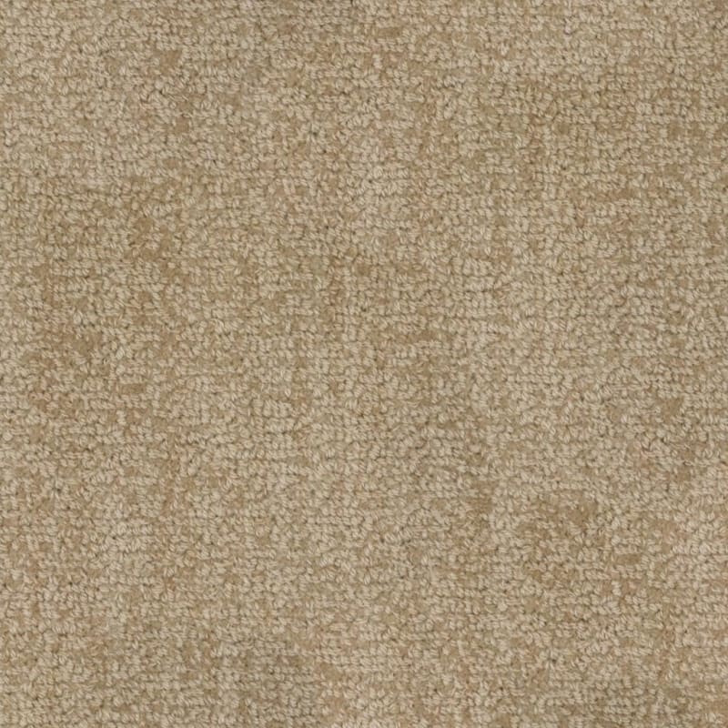 Revival carpet by Masland