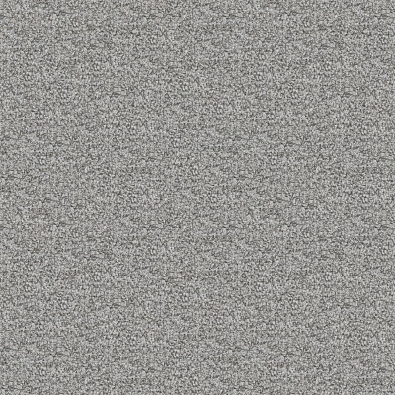 St. Augustine carpet by Masland