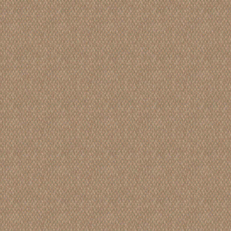 Trinidad carpet by Masland
