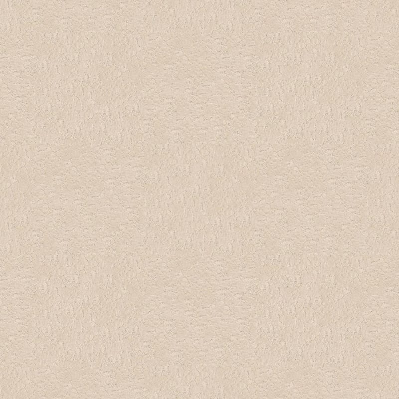 Classic Demeanor carpet by Dixie Home