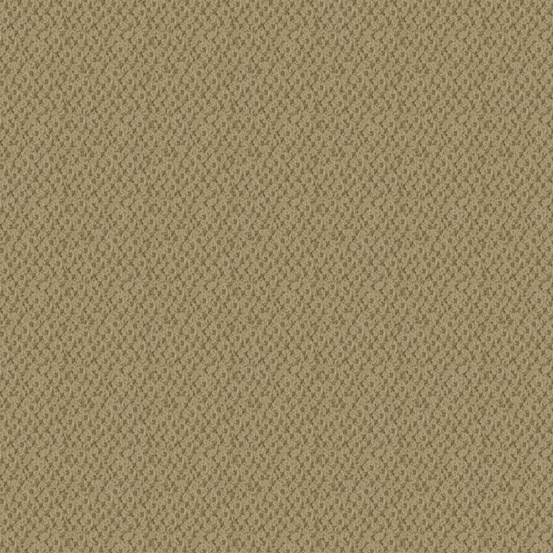 Seurat carpet by Masland