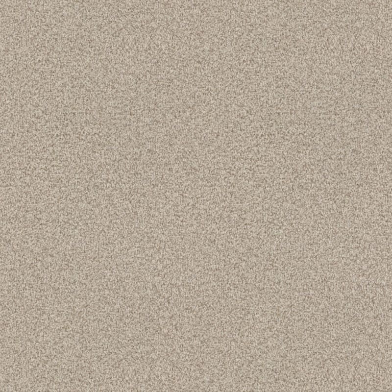 Santa Rosa carpet by Masland
