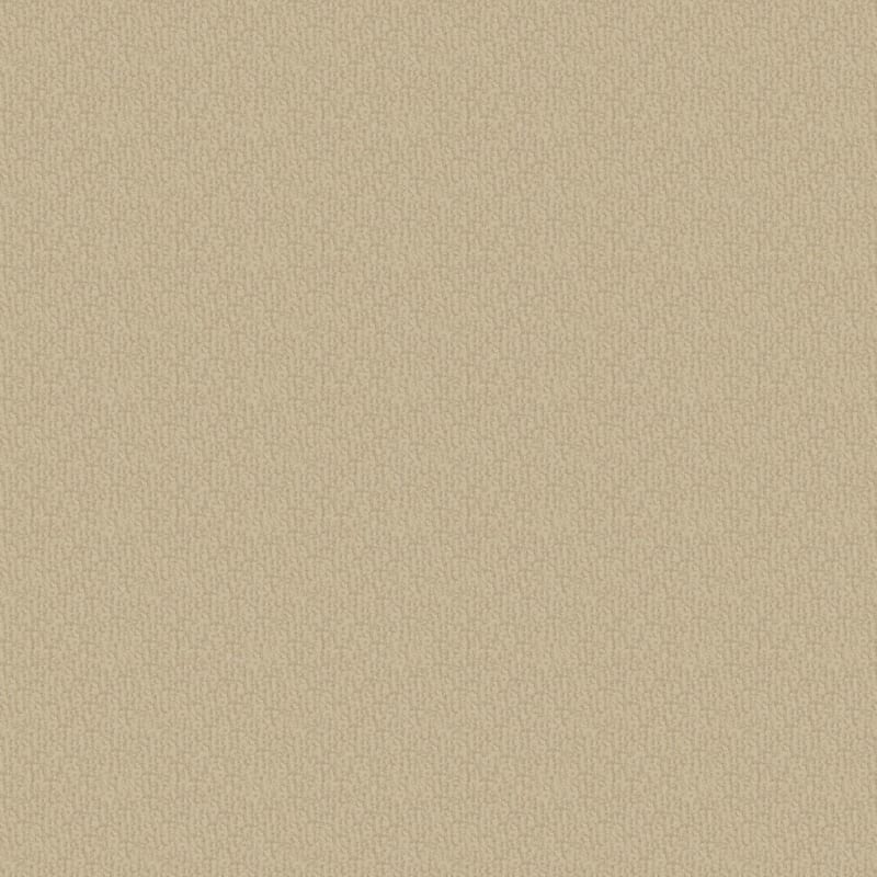 Pinehurst carpet by Masland
