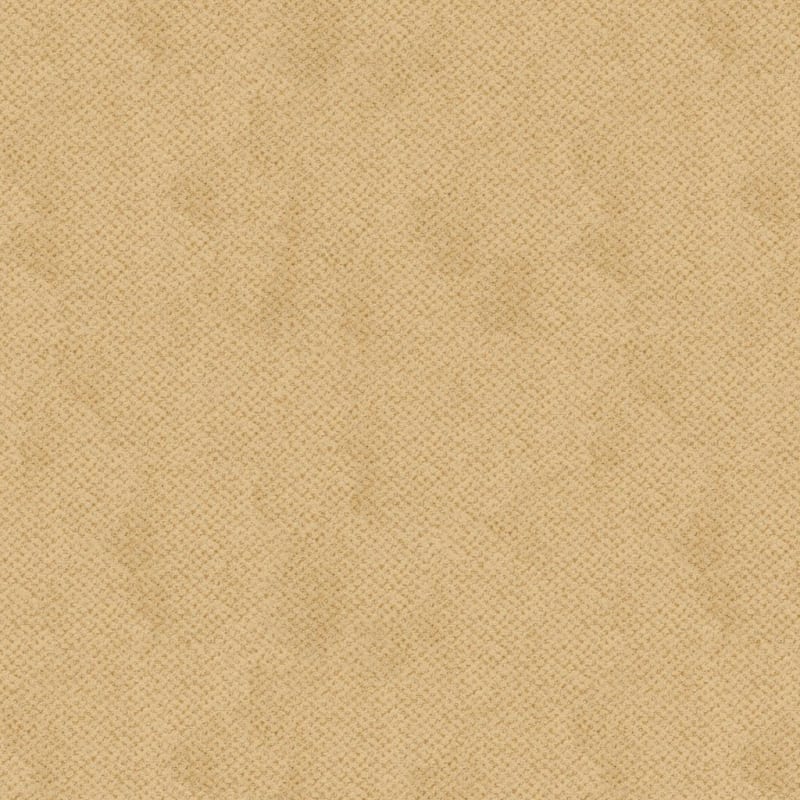 Montauk carpet by Masland