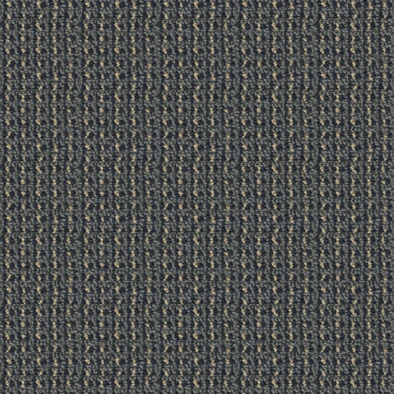 Tresor II carpet by Masland
