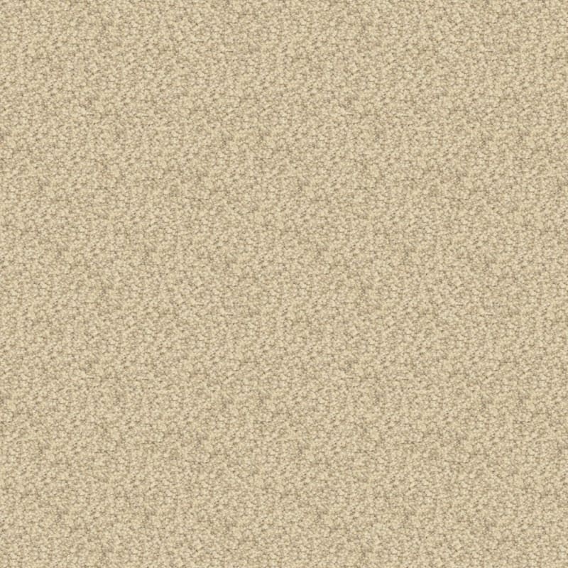 Staccato carpet by Masland