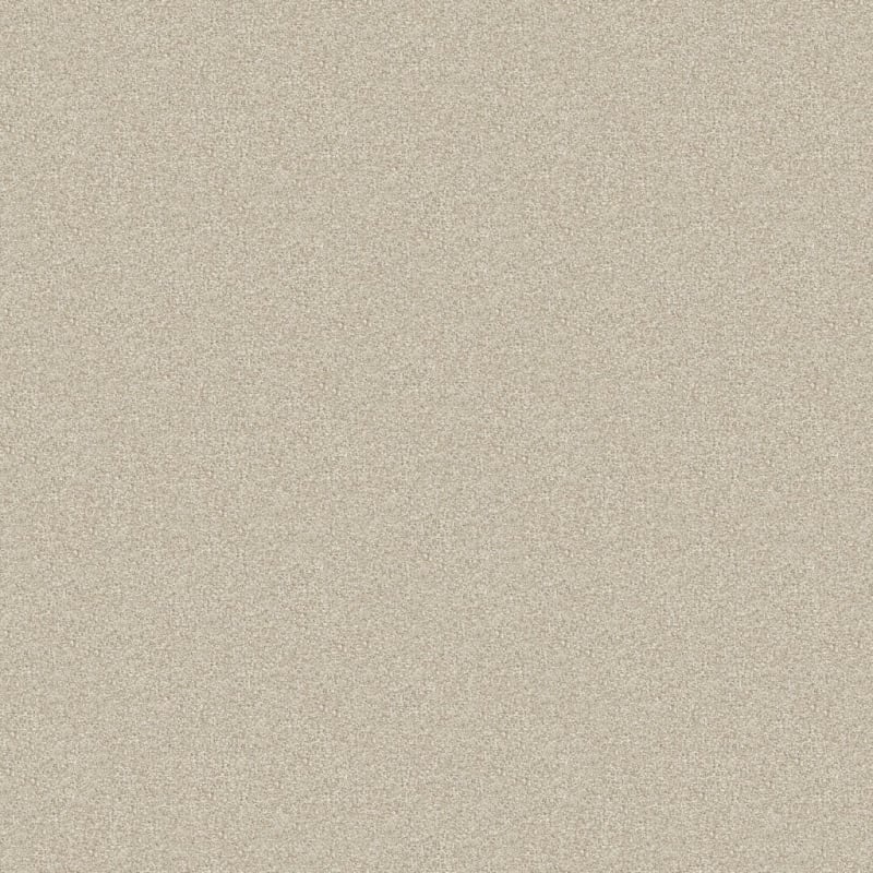 Hunter carpet by Masland