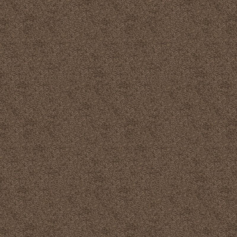 Knockout carpet by Masland