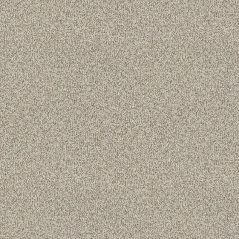 Santa Rosa carpet by Masland