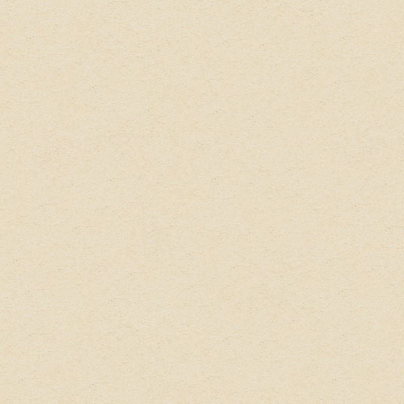Knockout carpet by Masland