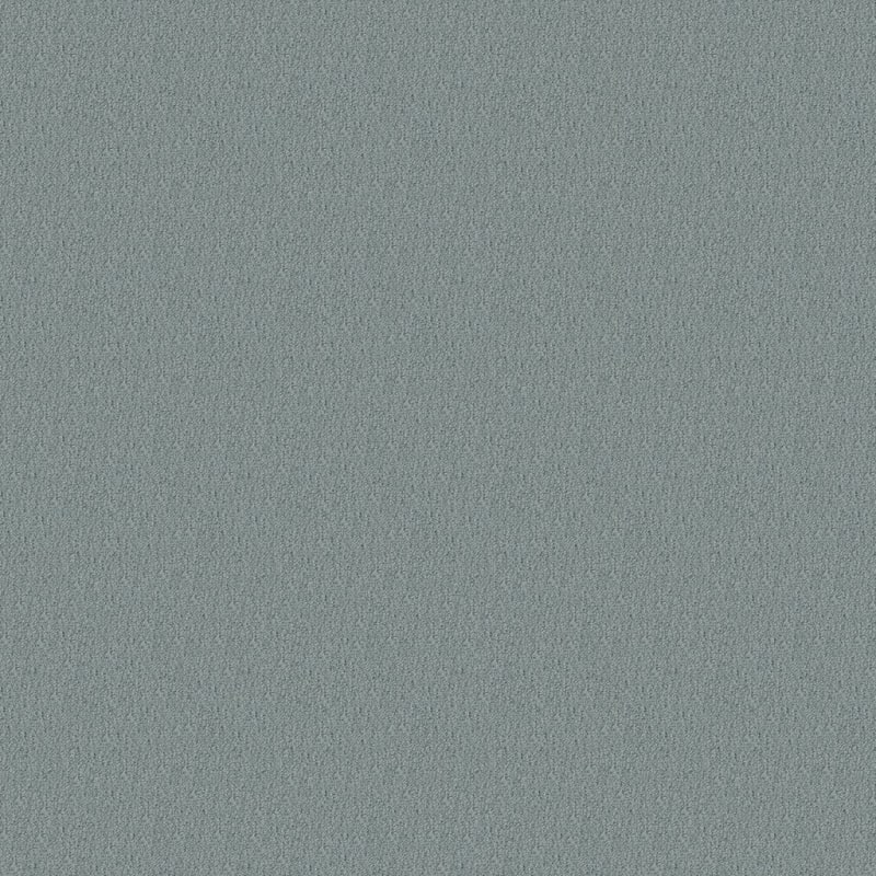 Panache carpet by Masland