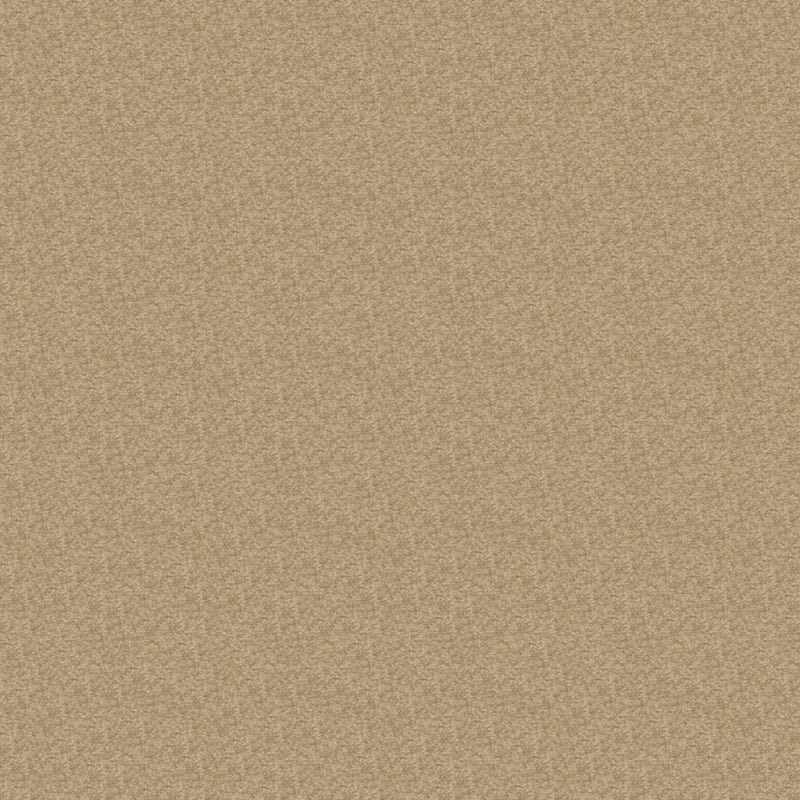 Patriot carpet by Masland