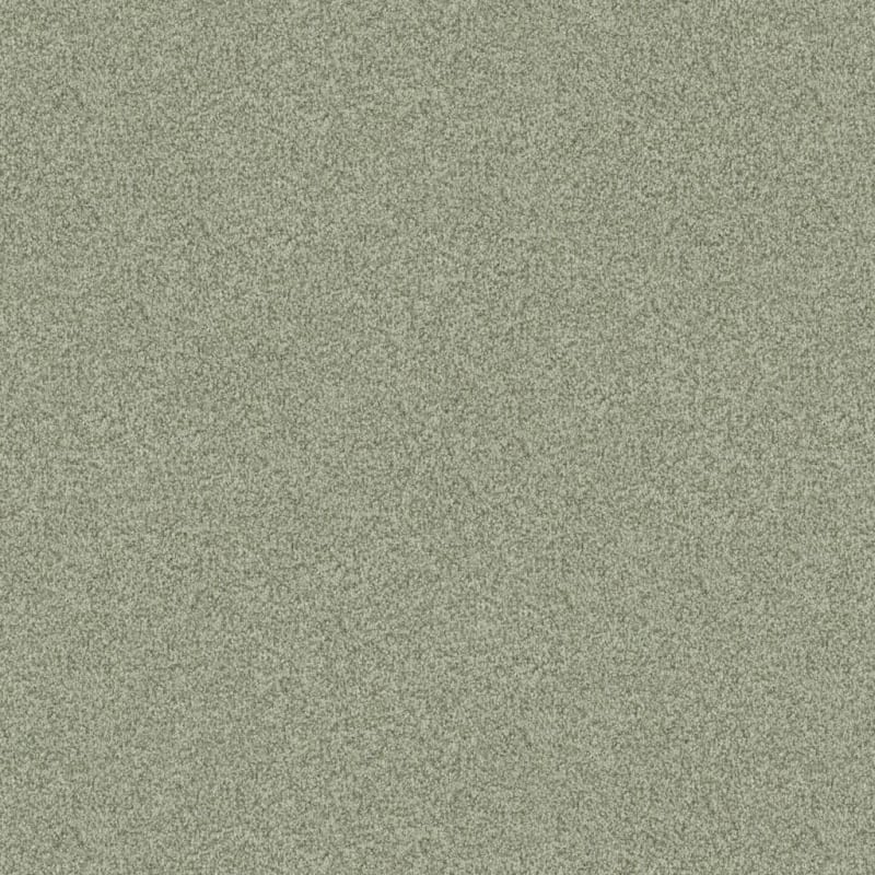Santa Rosa carpet by Masland