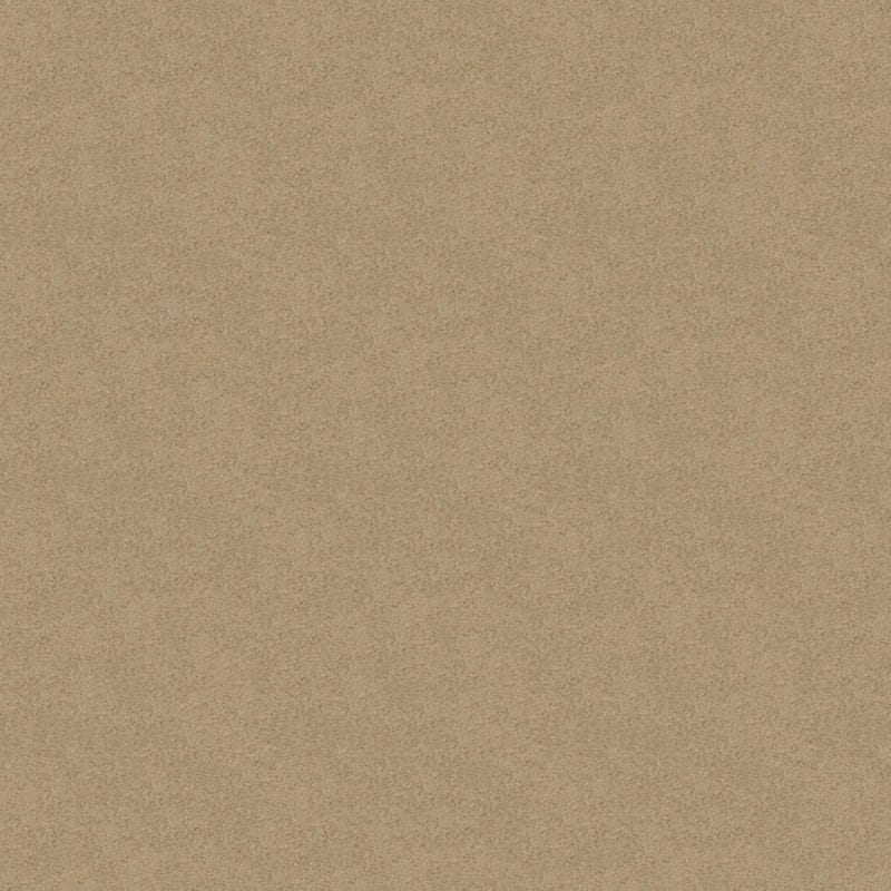 Embrace carpet by Masland