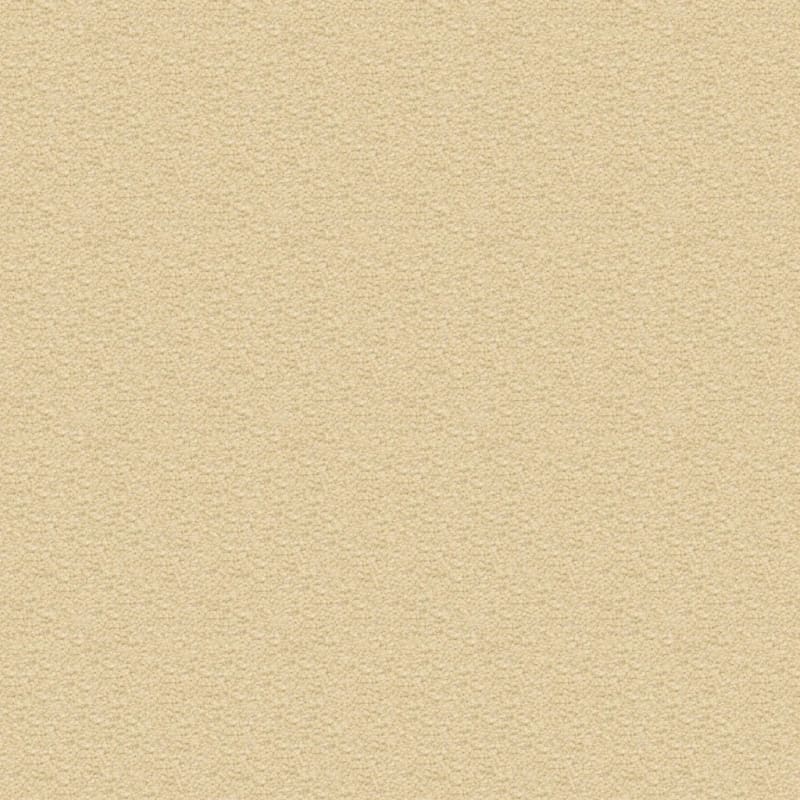 Ravishing carpet by Masland