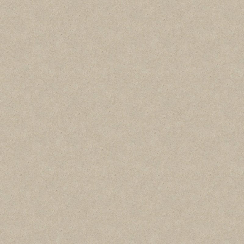 Embrace carpet by Masland