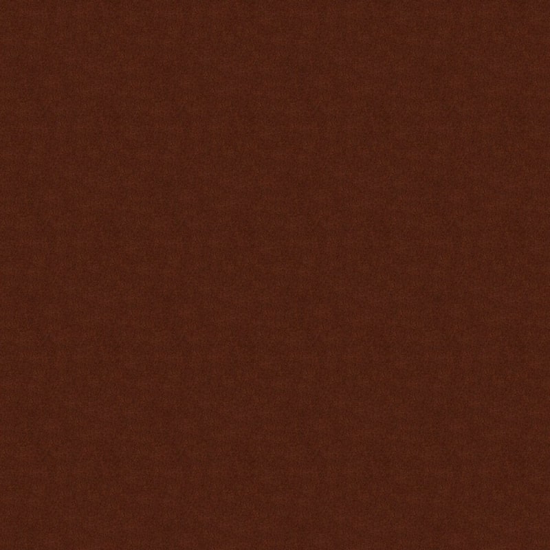 Silk Touch carpet by Masland
