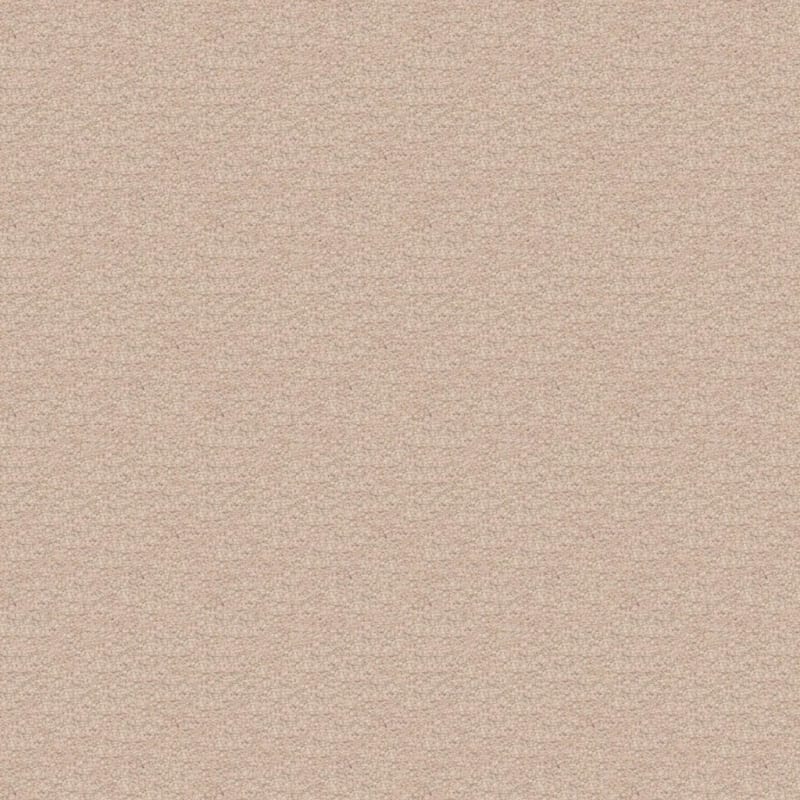 Ravishing carpet by Masland