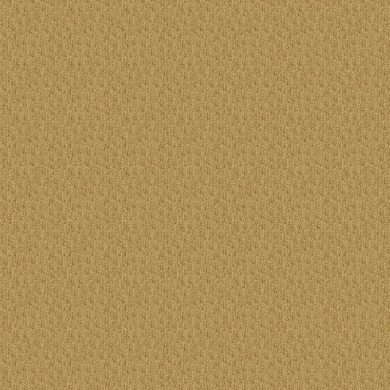 Casa Grande carpet by Masland