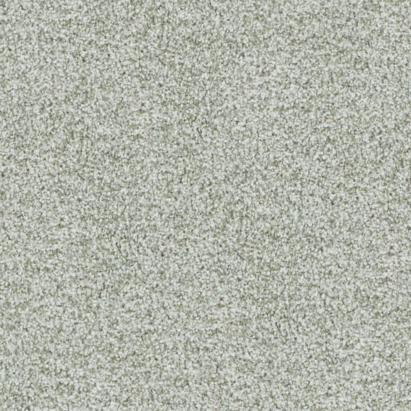 St. Augustine carpet by Masland