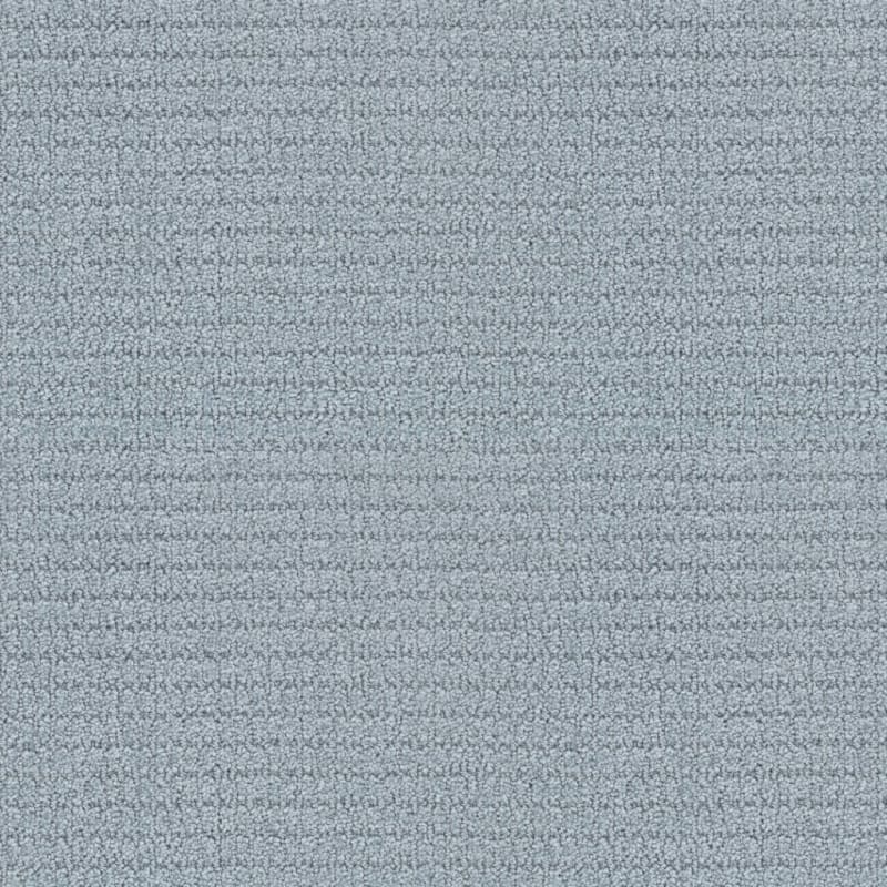 Defined carpet by Masland