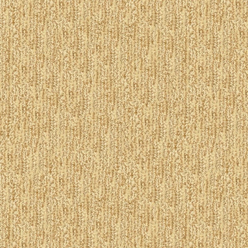 Mesa Verde carpet by Masland