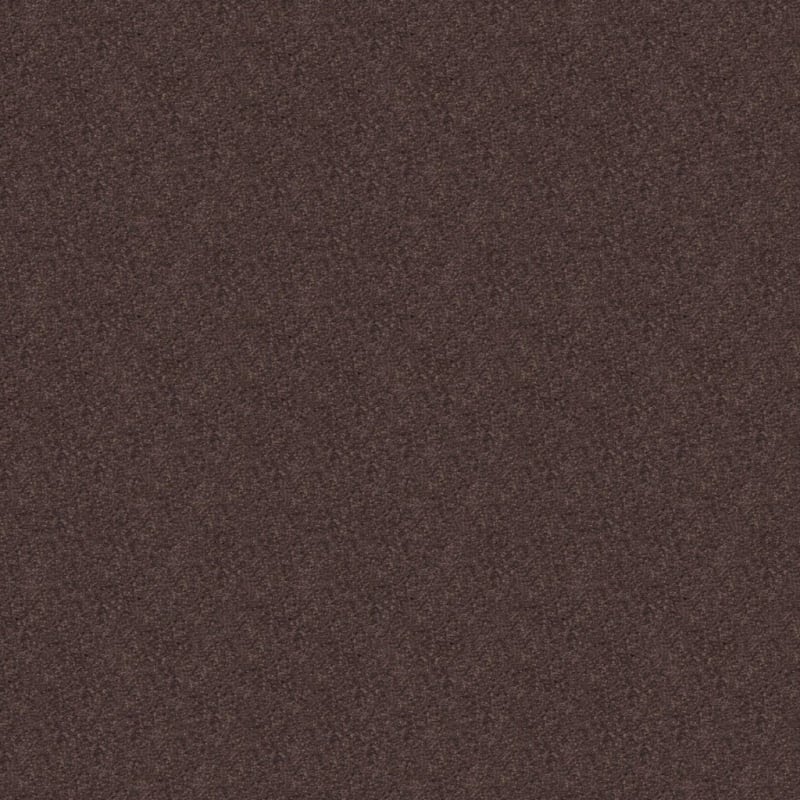 Embrace carpet by Masland