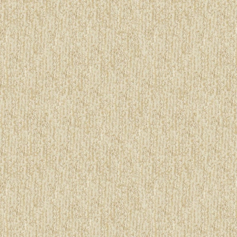 Mesa Verde carpet by Masland