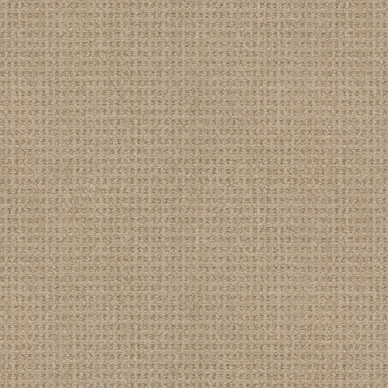 Winslow carpet by Masland