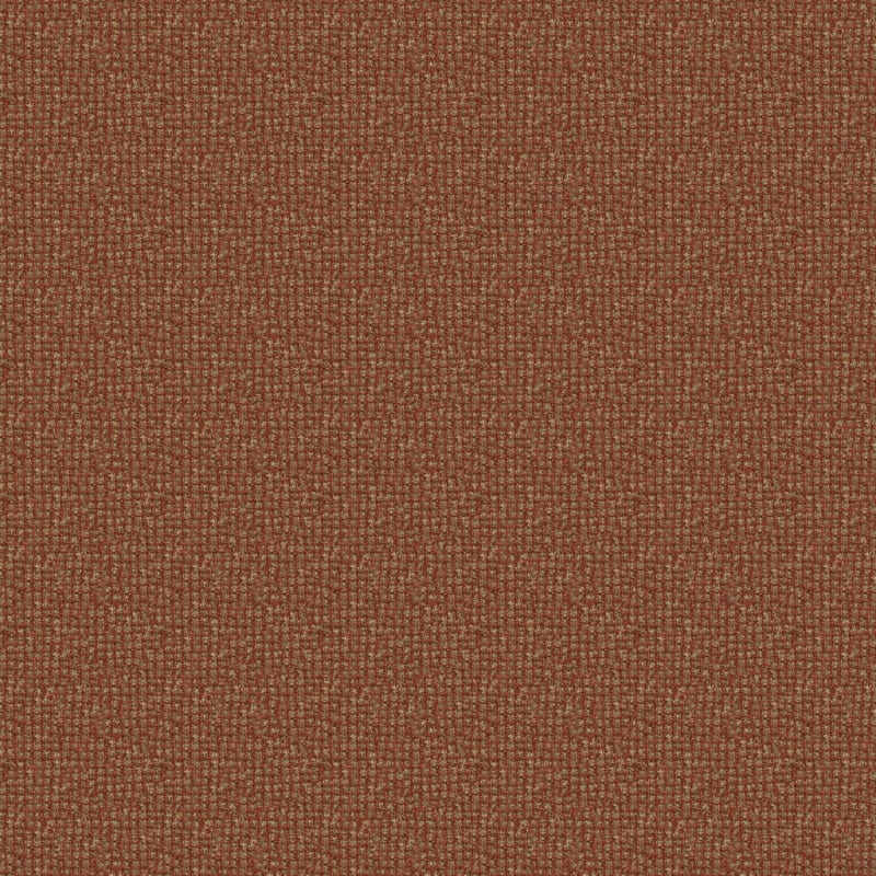 Alpha carpet by Masland