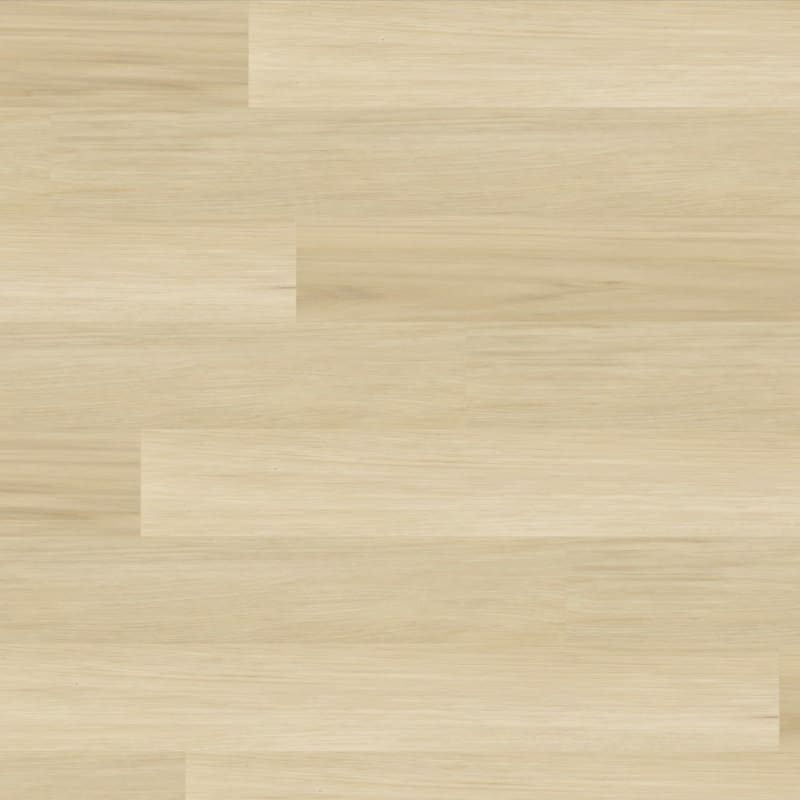 Charlie carpet by TRUCOR®