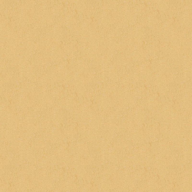 Americana carpet by Masland