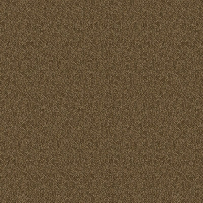 Morgan Bay carpet by Masland