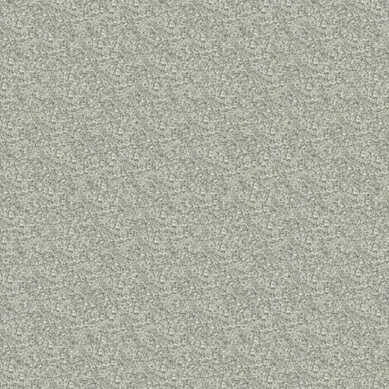 Delray carpet by Masland