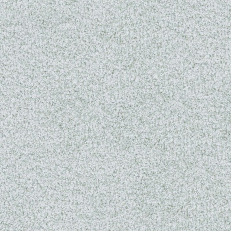 St. Augustine carpet by Masland