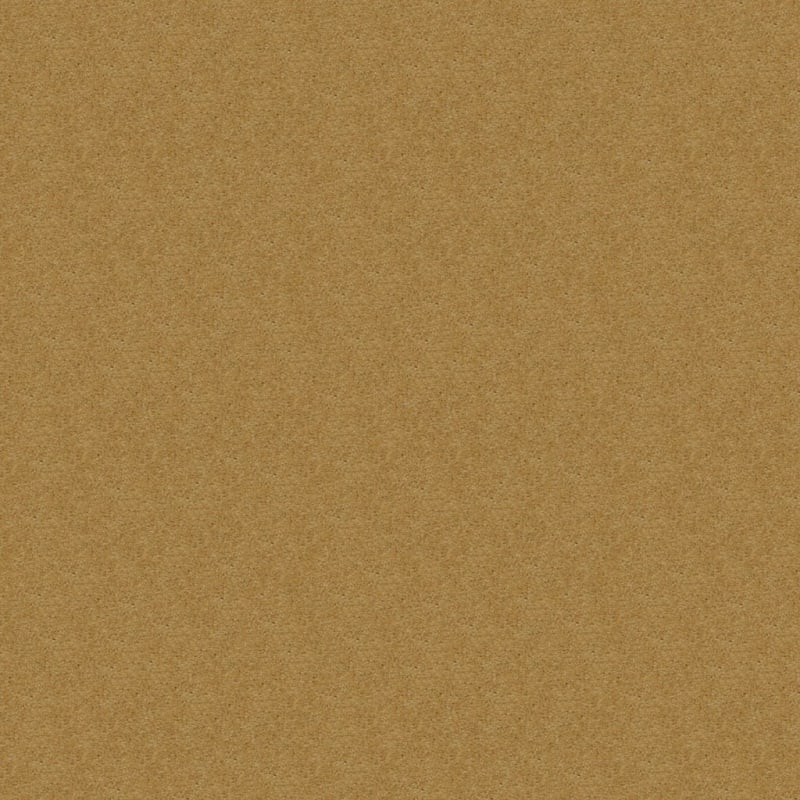 Embrace carpet by Masland