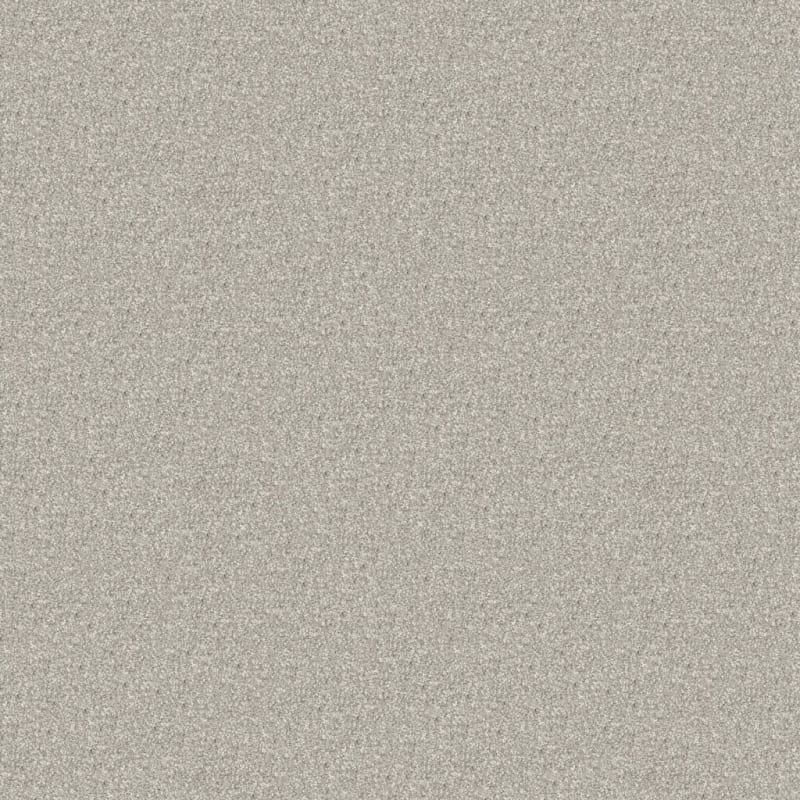 Hunter carpet by Masland