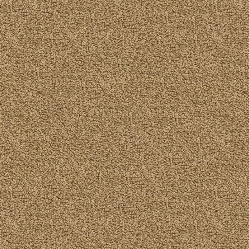 Marina Del Mar carpet by Masland