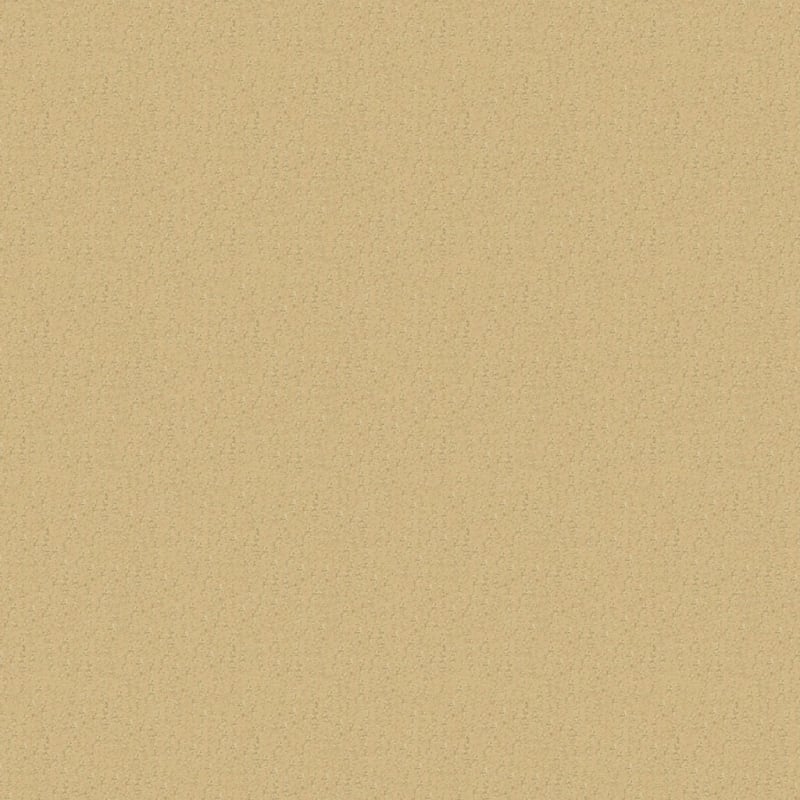 Nature'S Essence carpet by Masland
