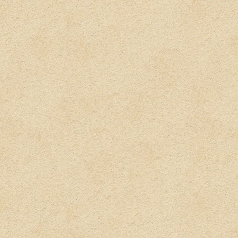 Knockout carpet by Masland