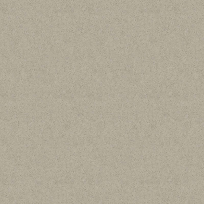 Embrace carpet by Masland