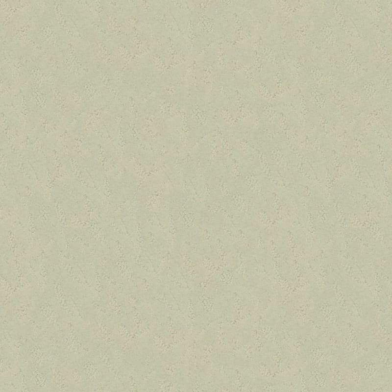 True Luxury carpet by Masland