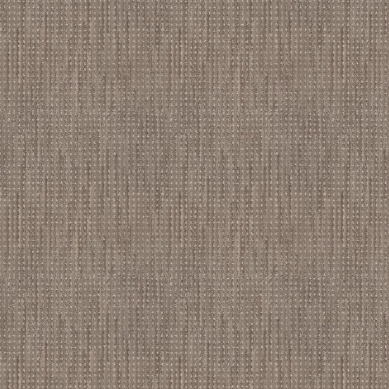 Imagine carpet by Masland