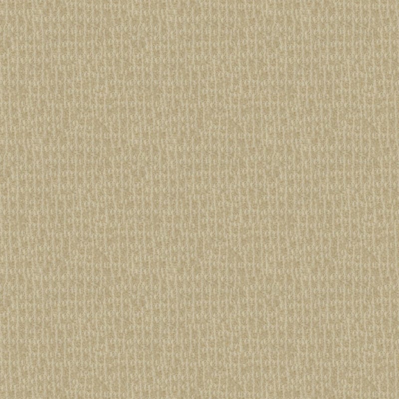 Hudson Valley carpet by Masland