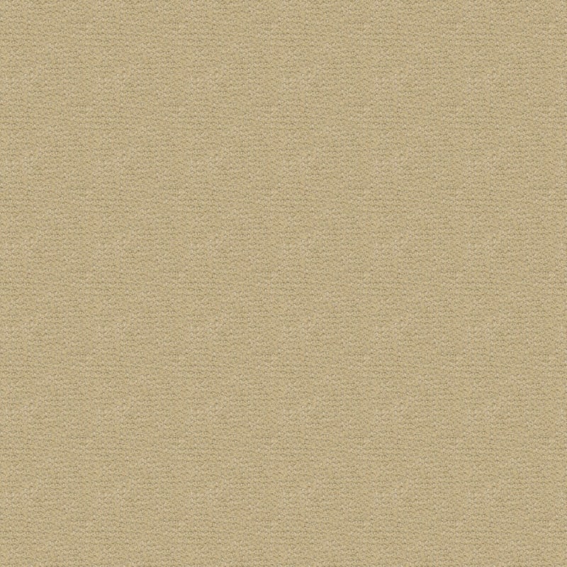 Alpha carpet by Masland