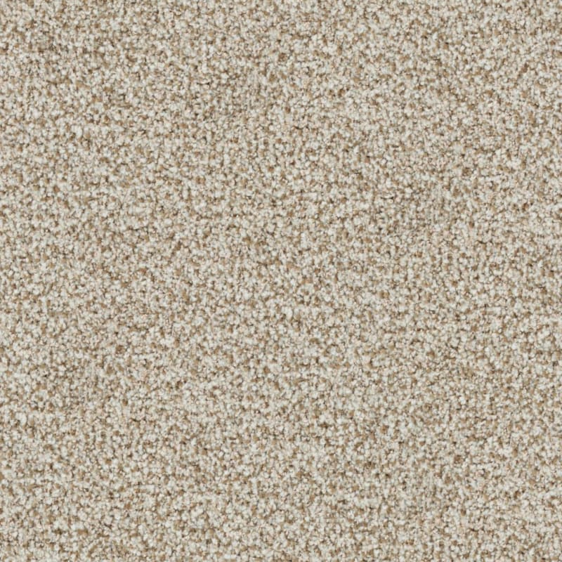St. Augustine carpet by Masland