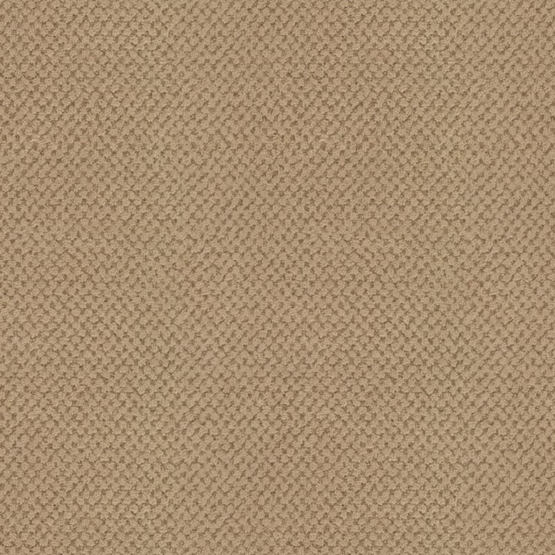 La Parade carpet by Masland
