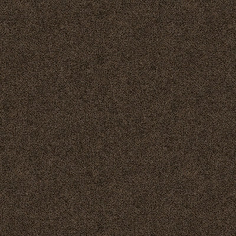 Montauk carpet by Masland
