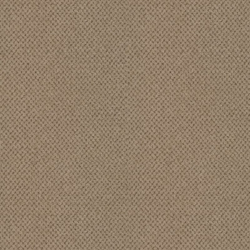 La Parade carpet by Masland