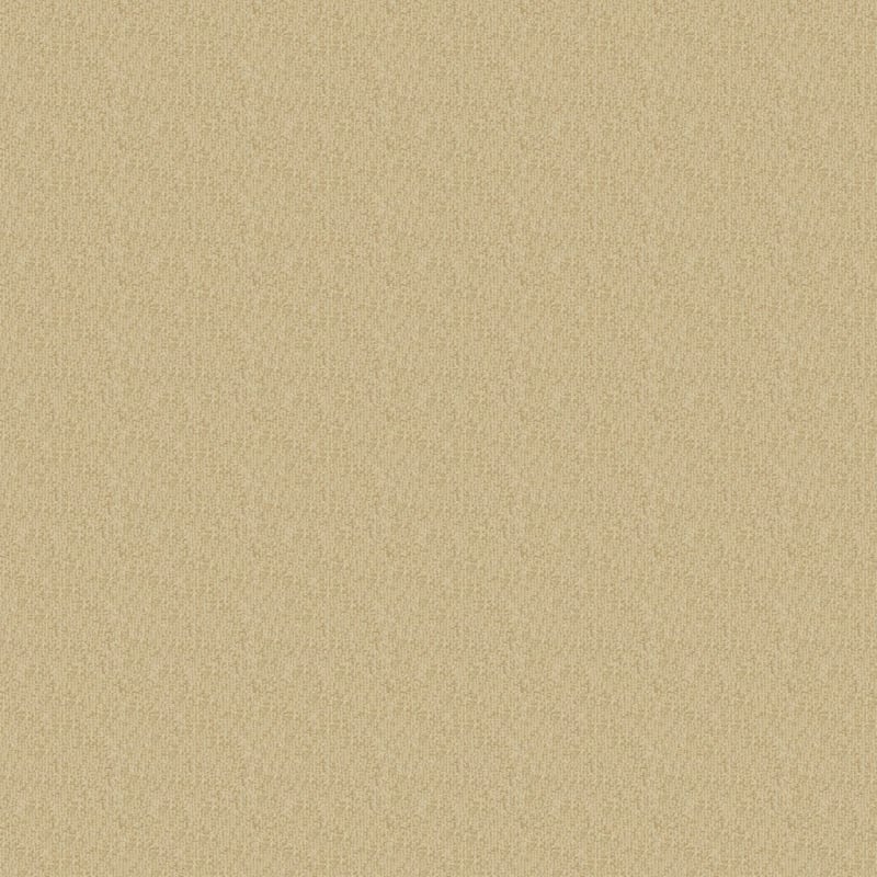 Casa Grande carpet by Masland